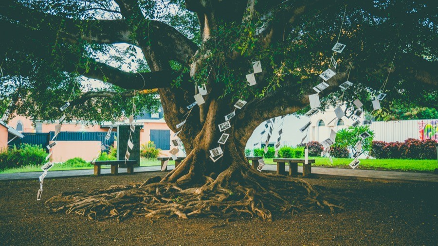 World Clean Up Day by Réunion Métis