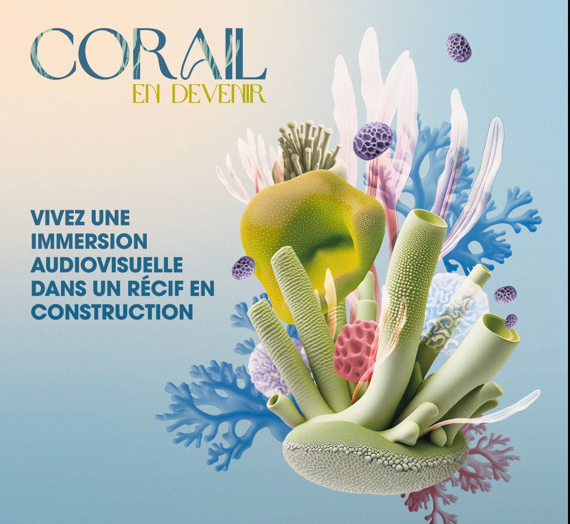 Corail en devenir