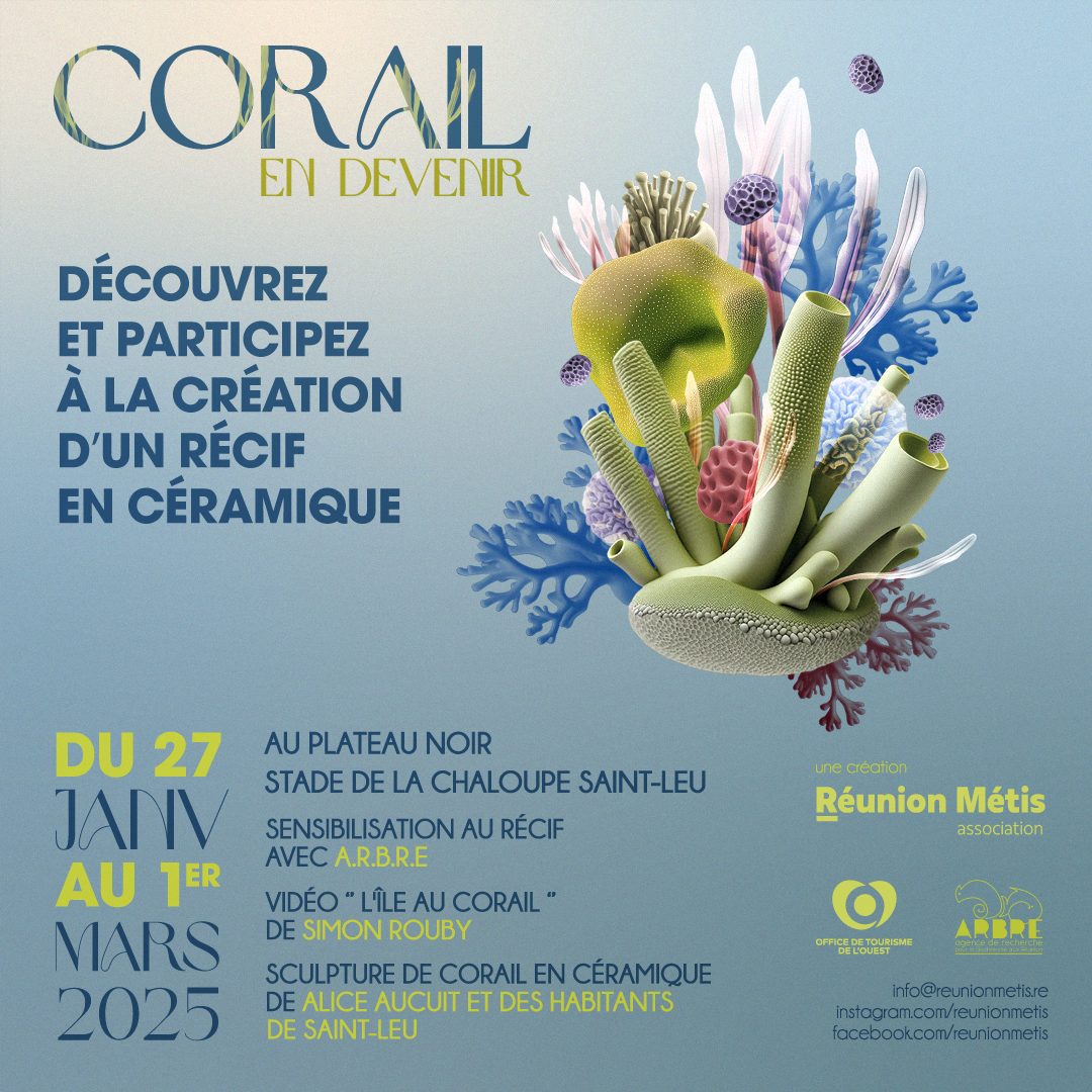 Corail en Devenir à la Chaloupe St Leu